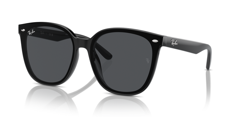 Ray-Ban RB4423D in Black - Front View
