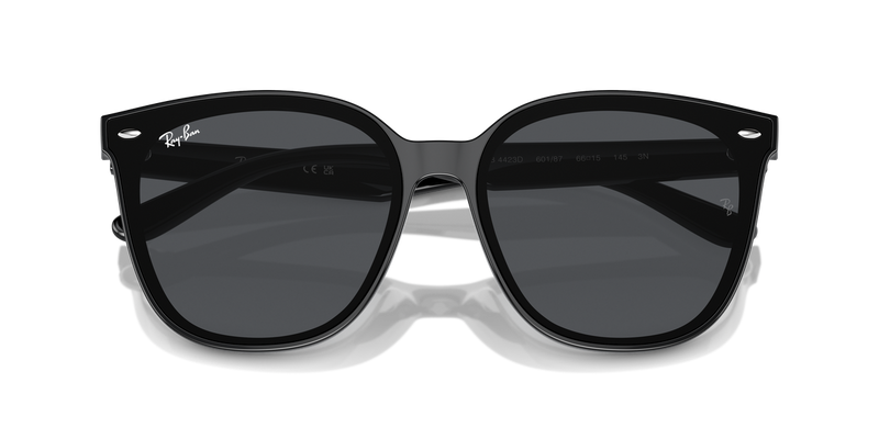 Ray-Ban RB4423D in Black - Side View