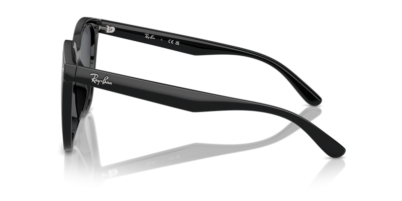 Ray-Ban RB4423D in Black - Back View