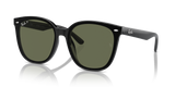 Black / Dark Green Polarized (601/9A)