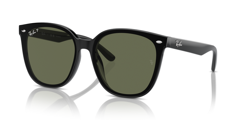 Ray-Ban RB4423D in Black - Alternate View