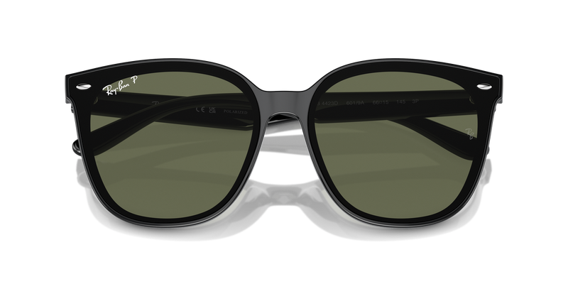 Ray-Ban RB4423D in Black - Alternate View