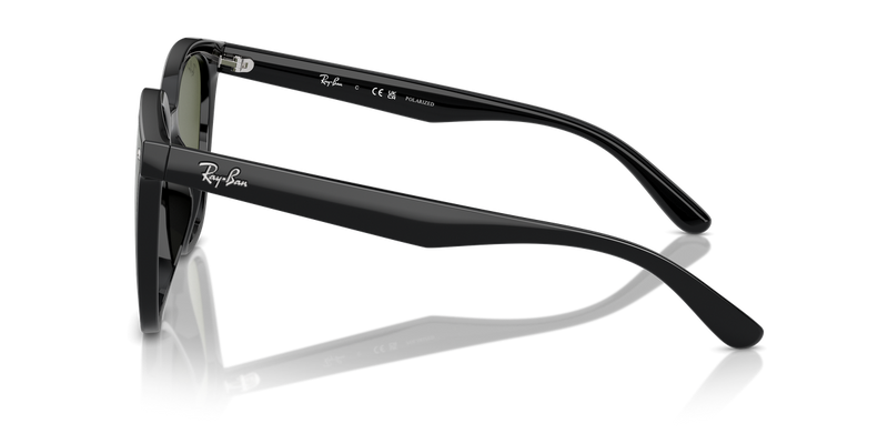 Ray-Ban RB4423D in Black - Alternate View