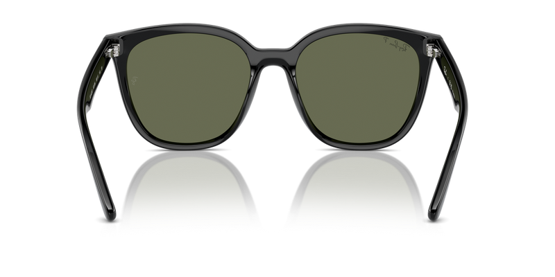 Ray-Ban RB4423D in Black - Alternate View