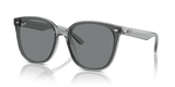Transparent Grey / Dark Brown (645087)