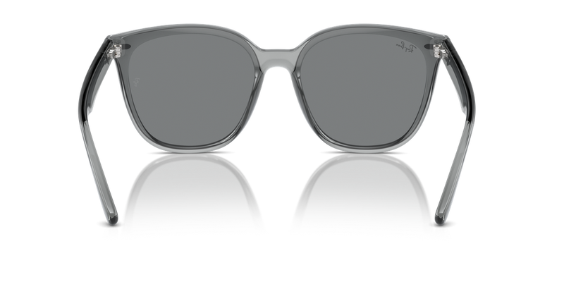 Ray-Ban RB4423D in Transparent Grey - Alternate View