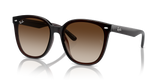 Transparent Brown / Brown (714/13)