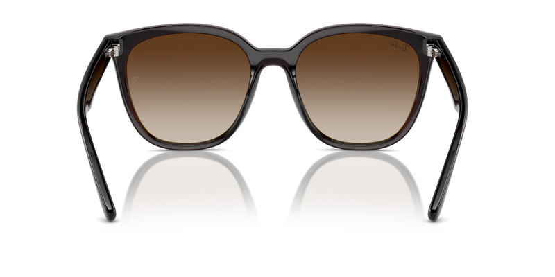 Ray-Ban RB4423D in Transparent Brown - Alternate View