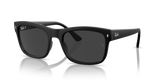 Black / Black Polarized (601S48)