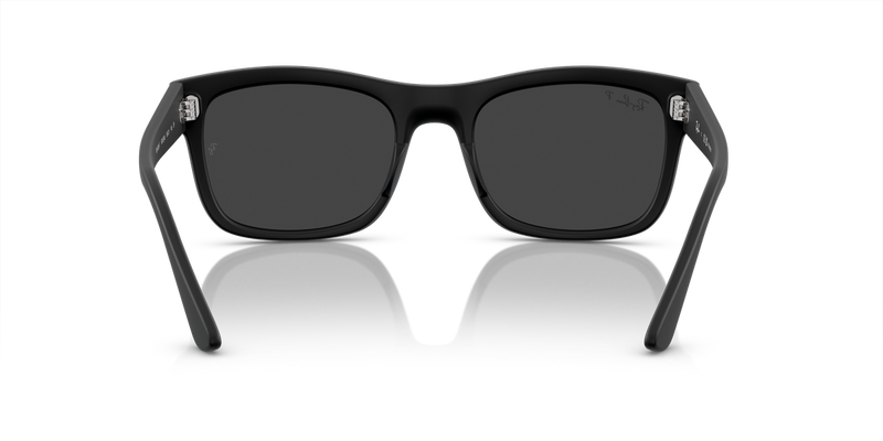 Ray-Ban RB4428F in Black - Temple Detail
