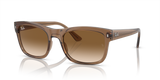 Transparent Light Brown / Clear/Brown (664051)