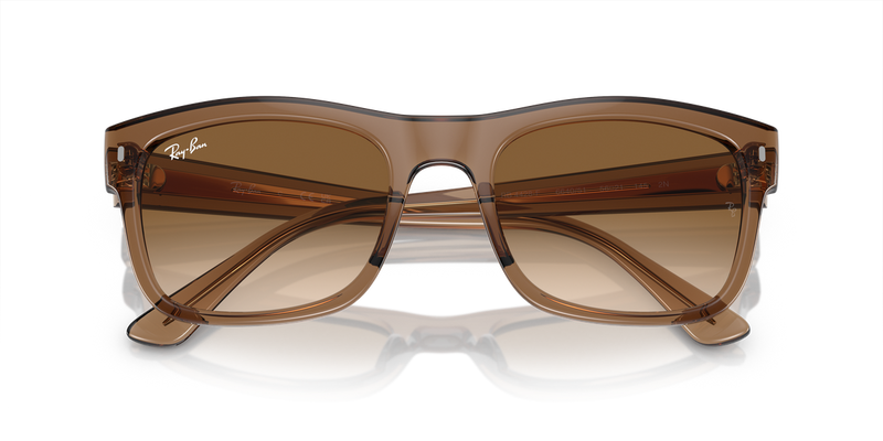 Ray-Ban RB4428F in Transparent Light Brown - Alternate View