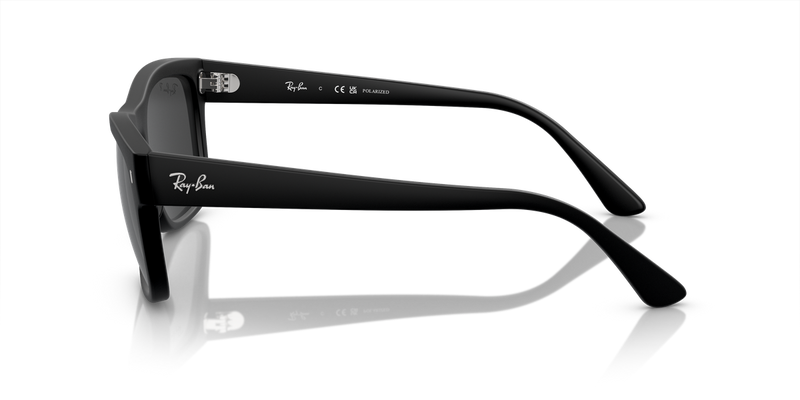 Ray-Ban RB4428 in Black - Alternate View