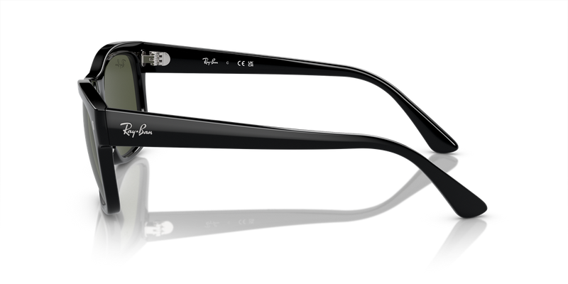 Ray-Ban RB4428 in Black - Back View