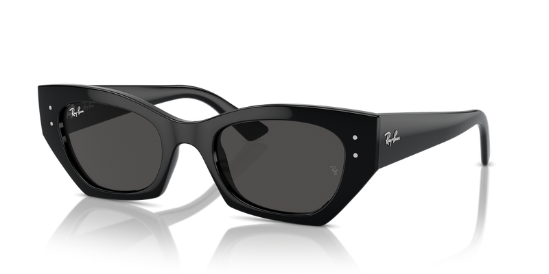 Ray-Ban ZENA in Black - Alternate View