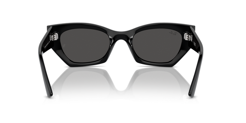 Ray-Ban ZENA in Black - Alternate View