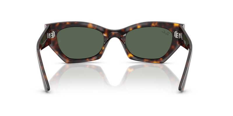Ray-Ban ZENA in Havana - Temple Detail