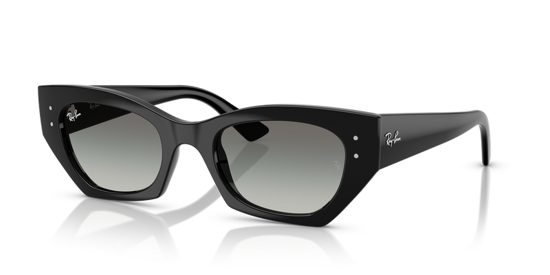 Ray-Ban ZENA in Black - Alternate View