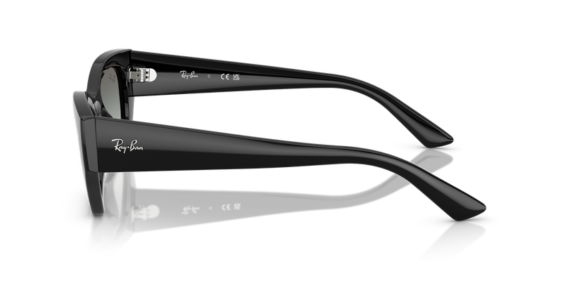 Ray-Ban ZENA in Black - Alternate View