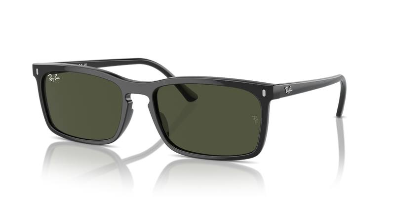 Ray-Ban RB4435 in Black - Alternate View