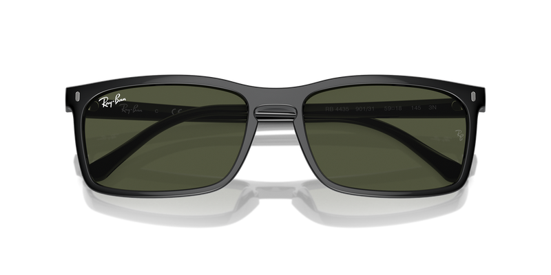 Ray-Ban RB4435 in Black - Alternate View