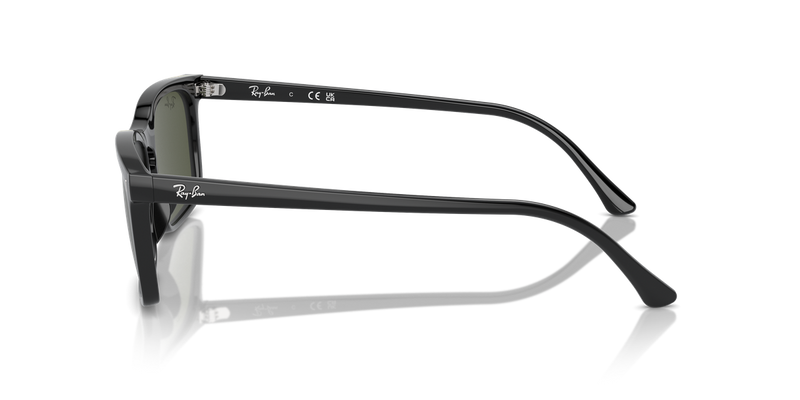Ray-Ban RB4435 in Black - Alternate View