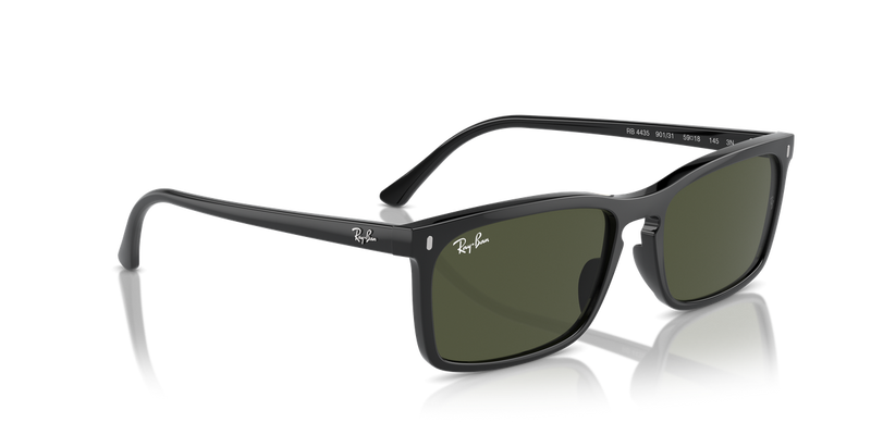 Ray-Ban RB4435 in Black - Alternate View