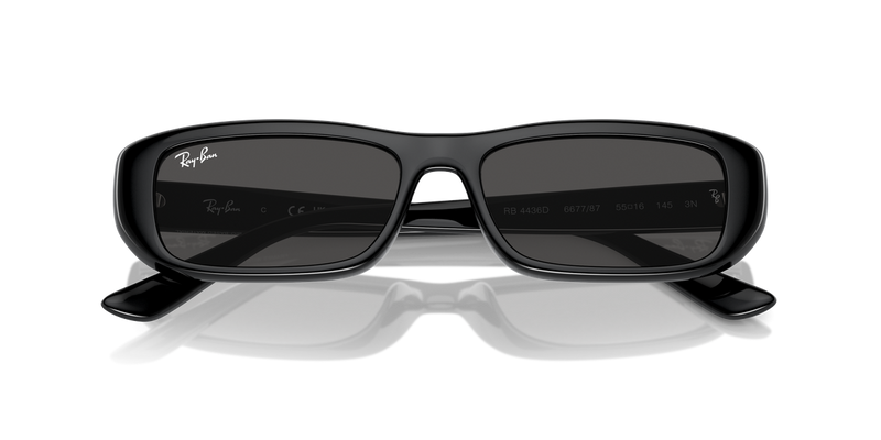 Ray-Ban RB4436D in Black - Side View