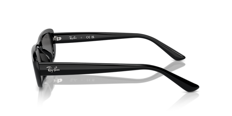 Ray-Ban RB4436D in Black - Back View