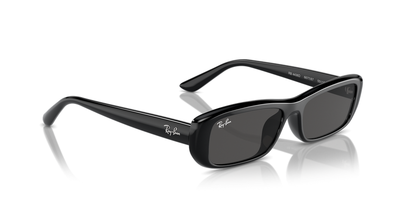 Ray-Ban RB4436D in Black - Alternate View