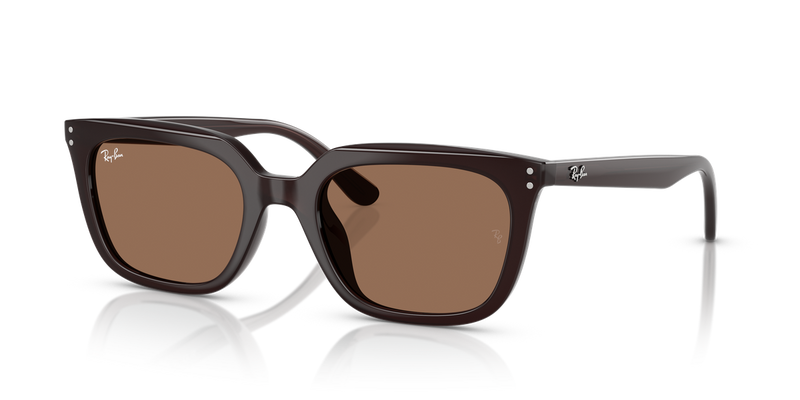 Ray-Ban RB4439D in Opal Brown / Dark Brown (623173) - Alternate View