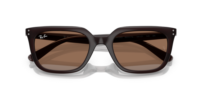 Ray-Ban RB4439D in Opal Brown / Dark Brown (623173) - Alternate View