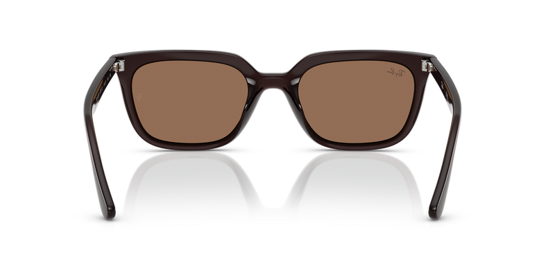 Ray-Ban RB4439D in Opal Brown / Dark Brown (623173) - Alternate View
