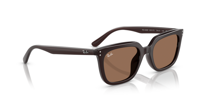Ray-Ban RB4439D in Opal Brown / Dark Brown (623173) - Alternate View