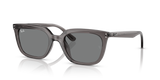 Transparent Grey / Dark Grey (667587)