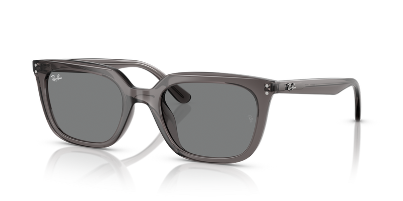 Ray-Ban RB4439D in Transparent Grey / Dark Grey (667587) - Alternate View
