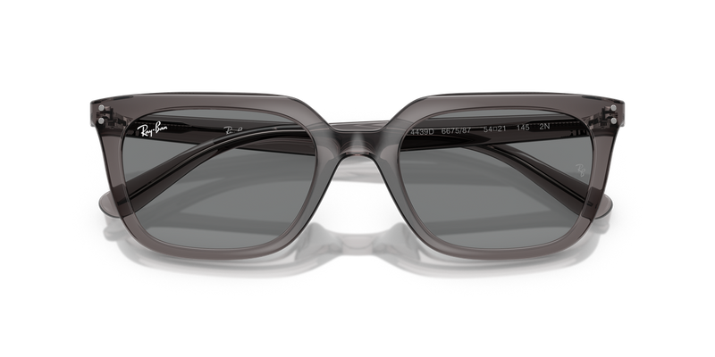 Ray-Ban RB4439D in Transparent Grey / Dark Grey (667587) - Alternate View