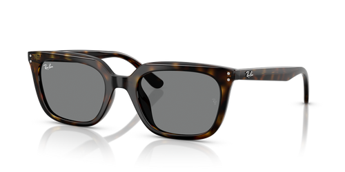 Ray-Ban RB4439D