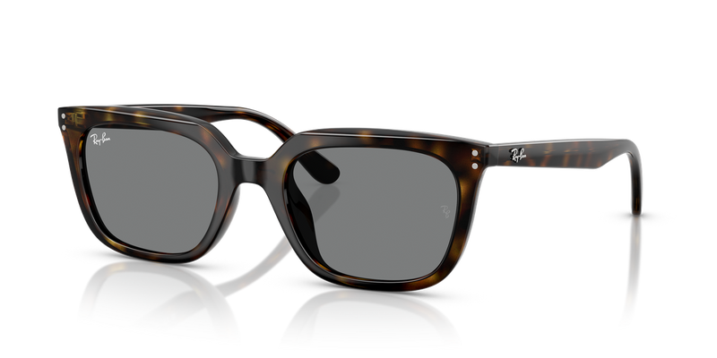 Ray-Ban RB4439D in Havana / Dark Grey (710/87) - Front View