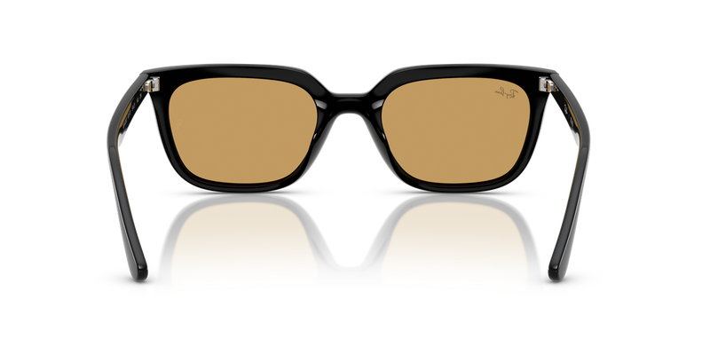 Ray-Ban RB4439D in Black / Ochre (901/73) - Alternate View