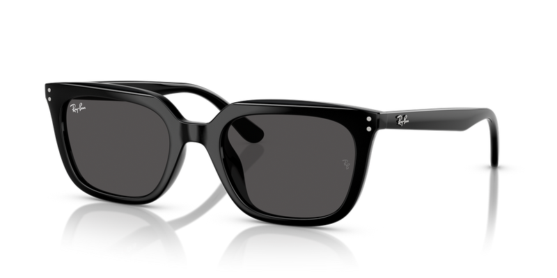 Ray-Ban RB4439D in Black / Dark Grey (901/87) - Alternate View