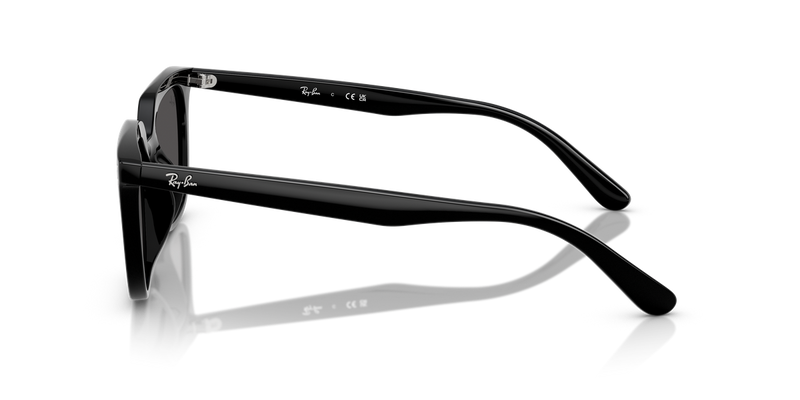 Ray-Ban RB4439D in Black / Dark Grey (901/87) - Alternate View
