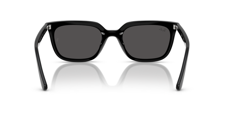 Ray-Ban RB4439D in Black / Dark Grey (901/87) - Alternate View