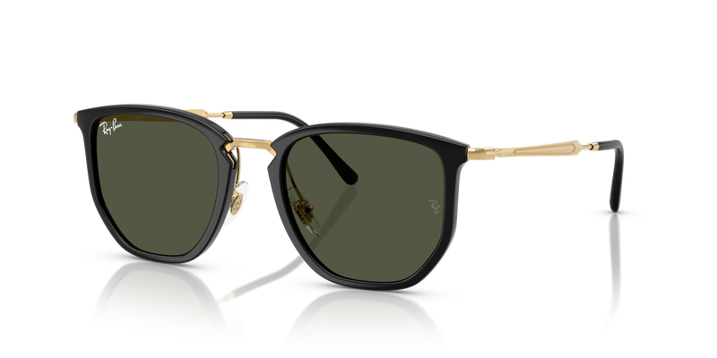 Ray-Ban RB4451 in Black - Alternate View
