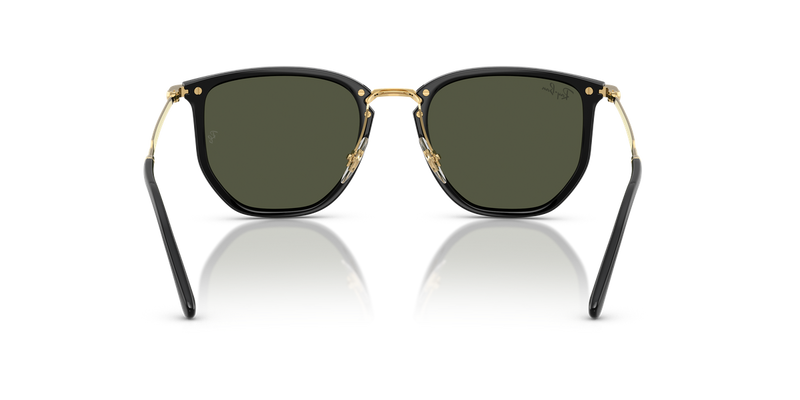 Ray-Ban RB4451 in Black - Alternate View
