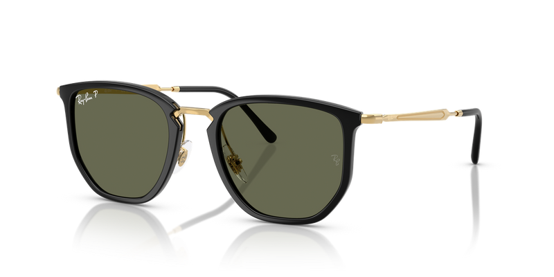 Ray-Ban RB4451 in Black - Alternate View