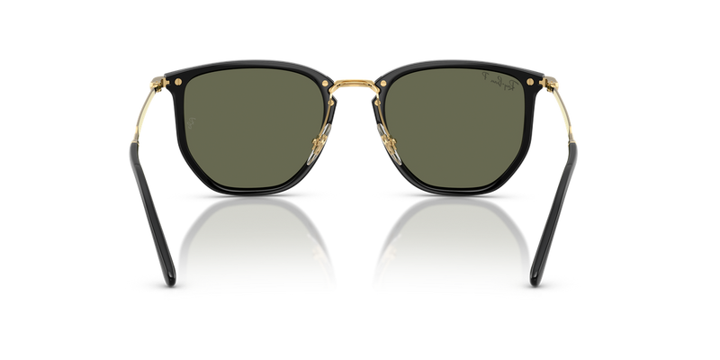 Ray-Ban RB4451 in Black - Alternate View