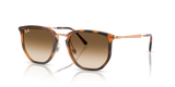 Transparent Orange / Clear Gradient Brown (680451)