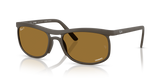 Sand Brown / Brown Polarized+ (612473)
