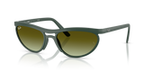 Sand Green / Green Gradient Brown (6016E8)